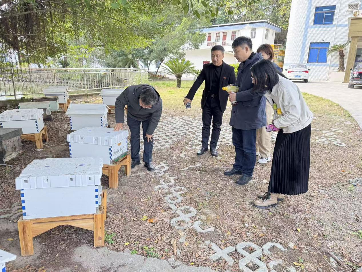 图片3.png 图片3.png